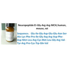 Neuropeptide EI-Gly-Arg-Arg-MCH, human, mouse, rat