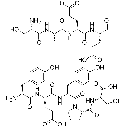 Cholecystokinin Flanking Peptide, Non-Sulfated  CAS NO.:198483-37-3