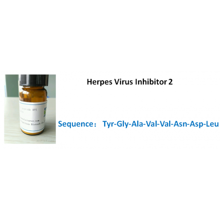 Herpes Virus Inhibitor 2