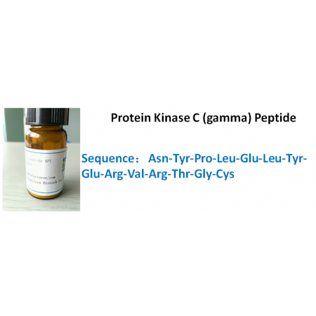Protein Kinase C (gamma) Peptide