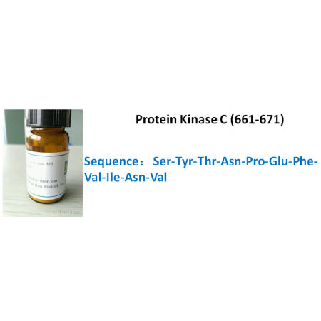 Protein Kinase C (661-671)