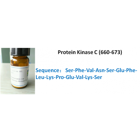 Protein Kinase C (660-673)