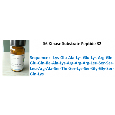 S6 Kinase Substrate Peptide 32