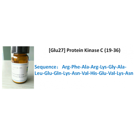 [Glu27] Protein Kinase C (19-36)
