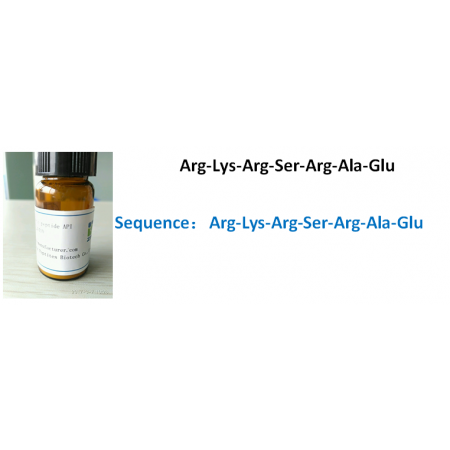 Arg-Lys-Arg-Ser-Arg-Ala-Glu