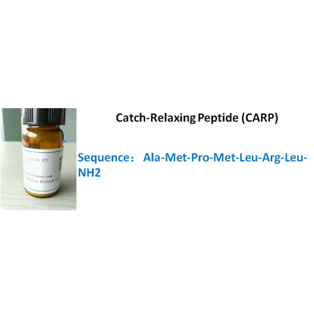 Catch-Relaxing Peptide (CARP)