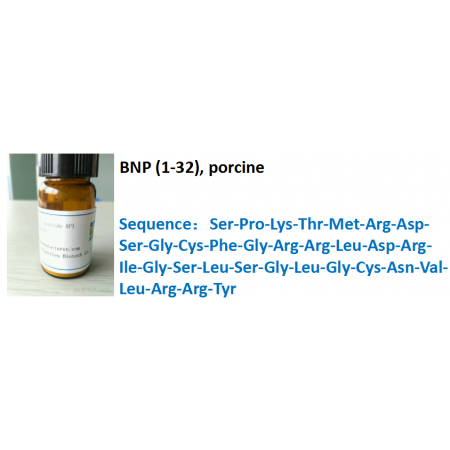 BNP (1-32), porcine