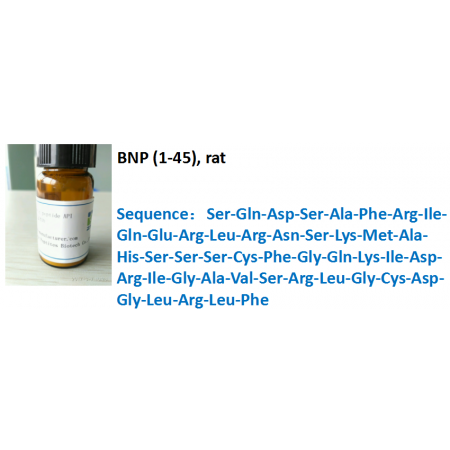 BNP (1-45), rat