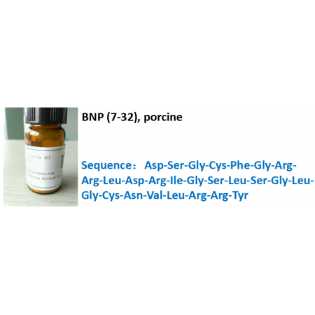 BNP (7-32), porcine