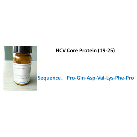 HCV Core Protein (19-25)