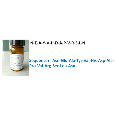 N-E-A-Y-V-H-D-A-P-V-R-S-L-N