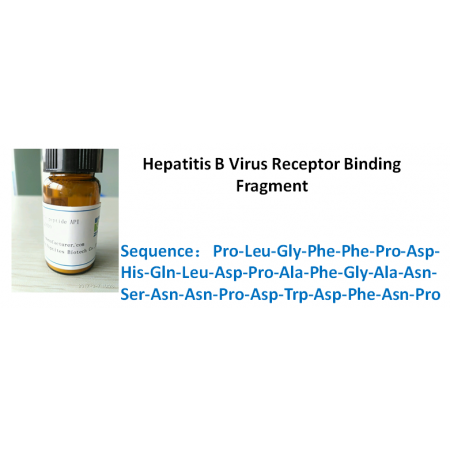 Hepatitis B Virus Receptor Binding Fragment