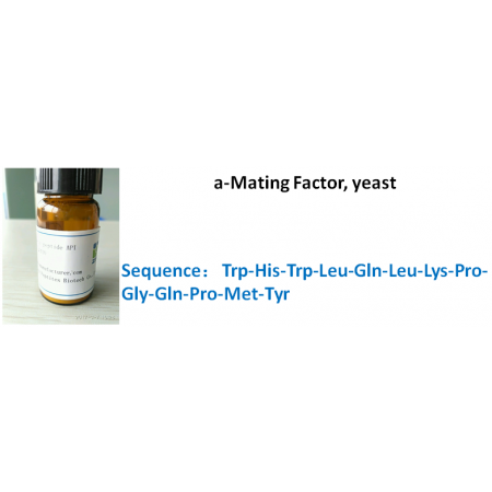 a-Mating Factor, yeast