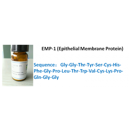 EMP-1 (Epithelial Membrane Protein)