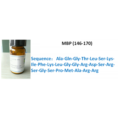MBP (146-170)