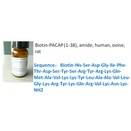 Biotin-PACAP (1-38), amide, human, ovine, rat