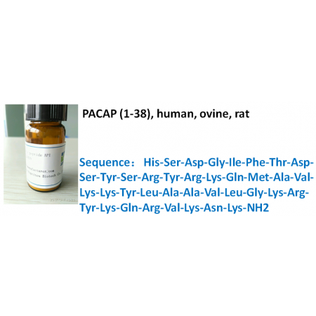 PACAP (1-38), human, ovine, rat