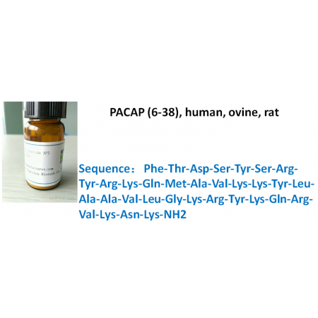 PACAP (6-38), human, ovine, rat