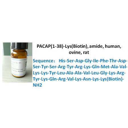 PACAP(1-38)-Lys(Biotin), amide, human, ovine, rat
