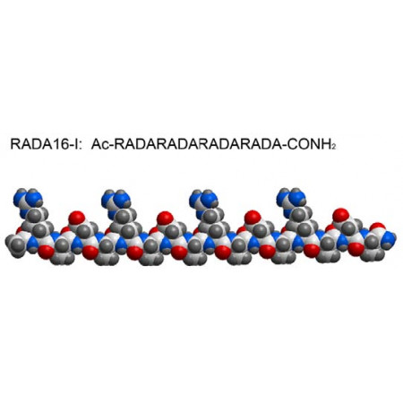 RADA16-I