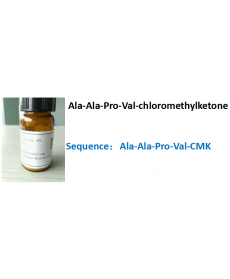 Ala-Ala-Pro-Val-chloromethylketone