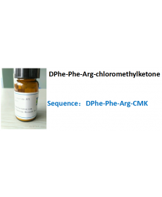 DPhe-Phe-Arg-chloromethylketone
