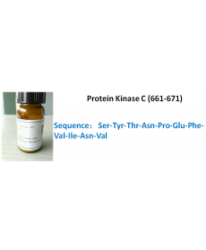 Protein Kinase C (661-671)