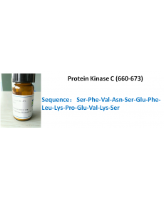 Protein Kinase C (660-673)