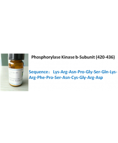 Phosphorylase Kinase b-Subunit (420-436)