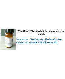 Woodtide, FAM-labeled, Forkhead derived peptide