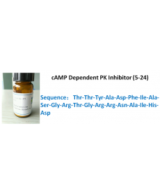 cAMP Dependent PK Inhibitor (5-24)