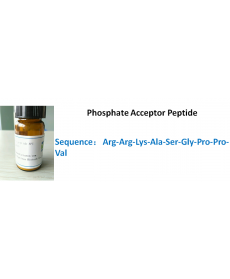 Phosphate Acceptor Peptide