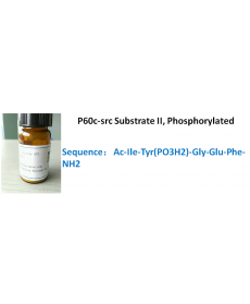 P60c-src Substrate II, Phosphorylated