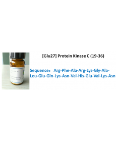 [Glu27] Protein Kinase C (19-36)