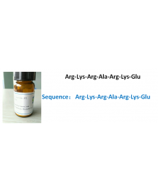 Arg-Lys-Arg-Ala-Arg-Lys-Glu