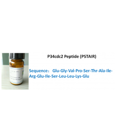 P34cdc2 Peptide (PSTAIR)