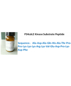 P34cdc2 Kinase Substrate Peptide