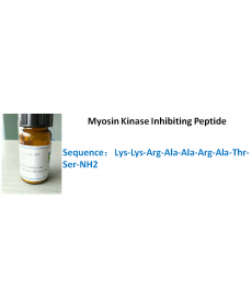 Myosin Kinase Inhibiting Peptide