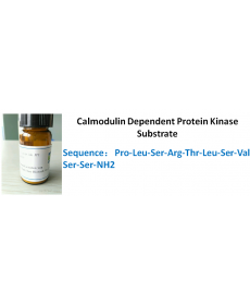 Calmodulin Dependent Protein Kinase Substrate
