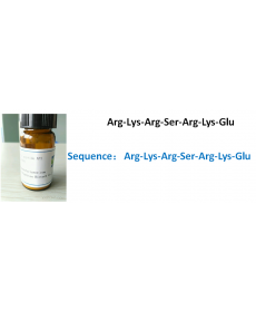 Arg-Lys-Arg-Ser-Arg-Lys-Glu