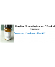 Morphine Modulating Peptide, C-Terminal Fragment