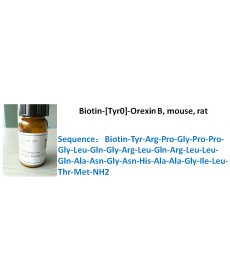 Biotin-[Tyr0]-Orexin B, mouse, rat