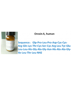 Orexin A, human