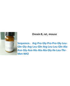 Orexin B, rat, mouse