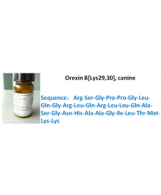 Orexin B[Lys29,30], canine