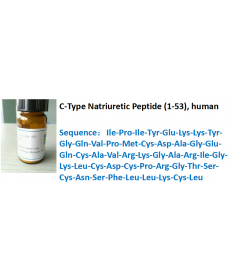 C-Type Natriuretic Peptide (1-53), human