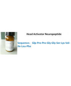 Head Activator Neuropeptide