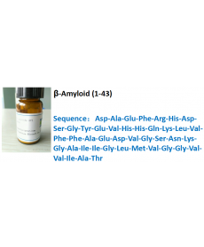 β-Amyloid (1-43)