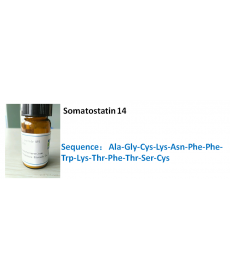 Somatostatin 14