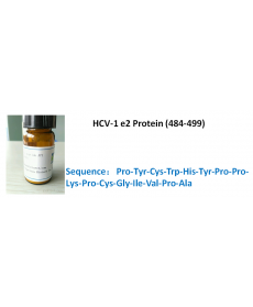 HCV-1 e2 Protein (484-499)